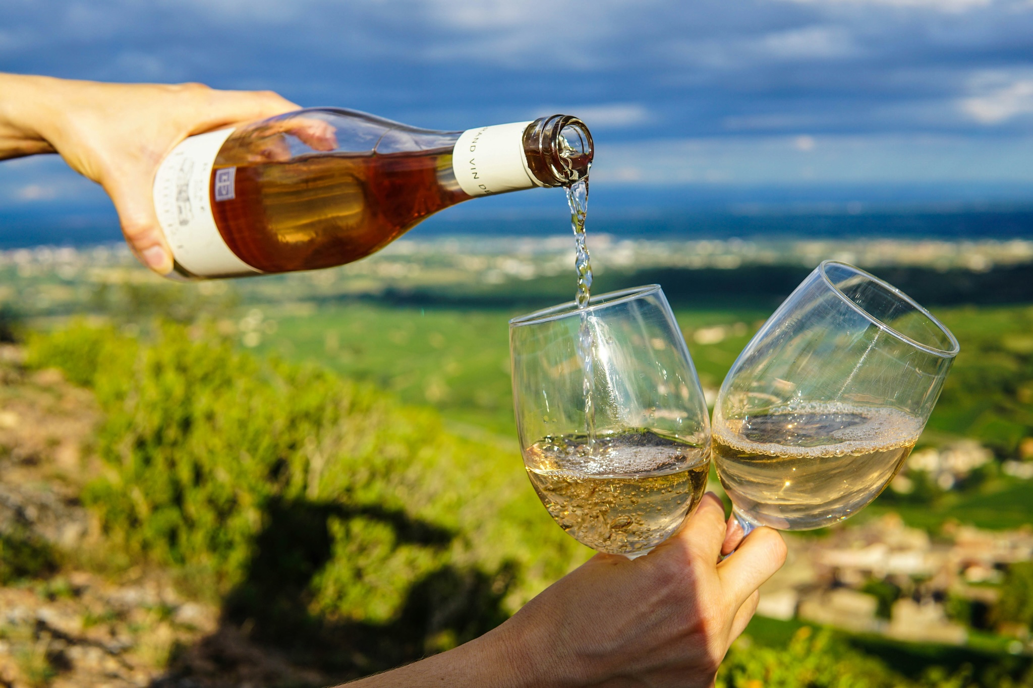 What Is Wine? A Beginner's Introduction